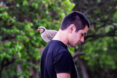 Прикрепленное изображение: DSC_7781-1.jpg